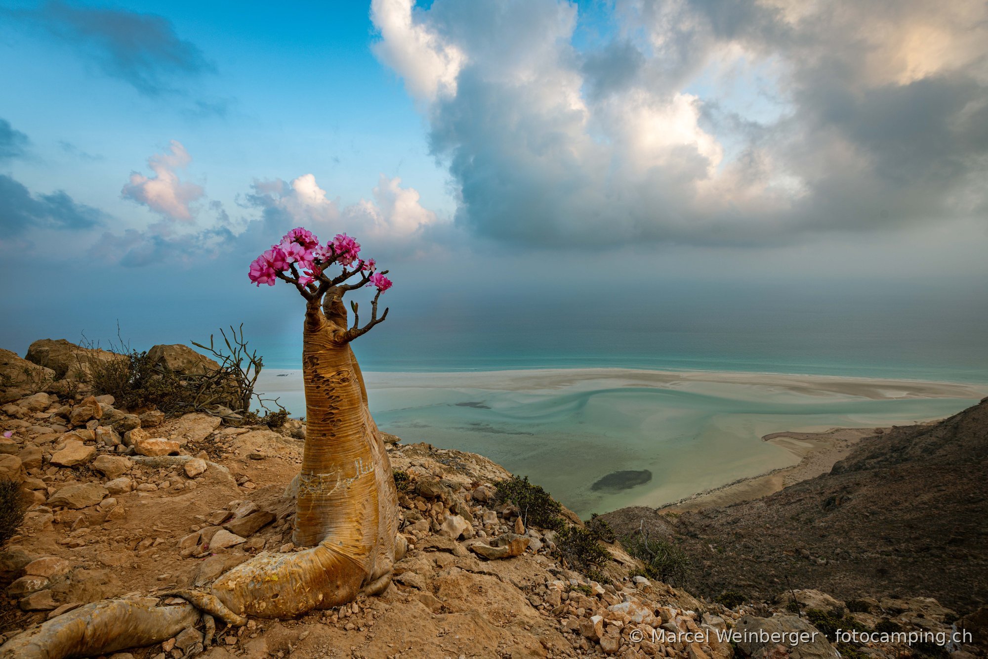 Socotra — Reise mit Nick Schmid